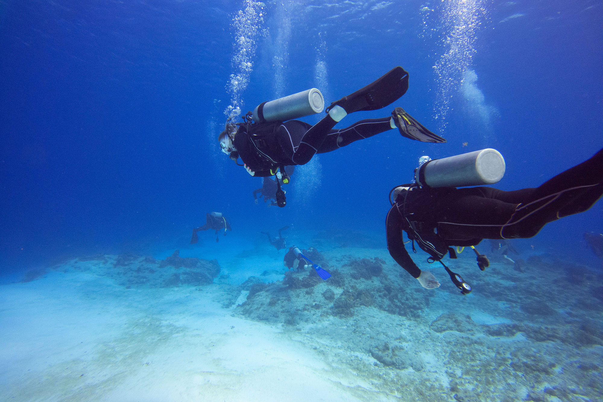 1 scuba diving mexico carey dive center